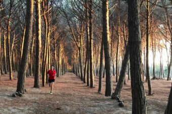 Sommes-nous faits pour courir ?