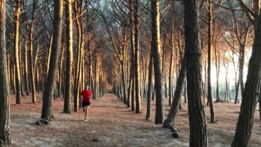 Sommes-nous faits pour courir ?