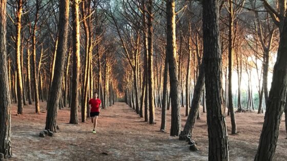 Sommes-nous faits pour courir ?
